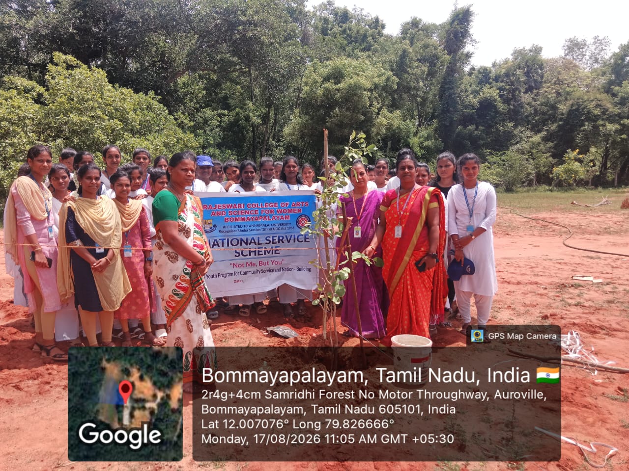 NSS - Planting Trees